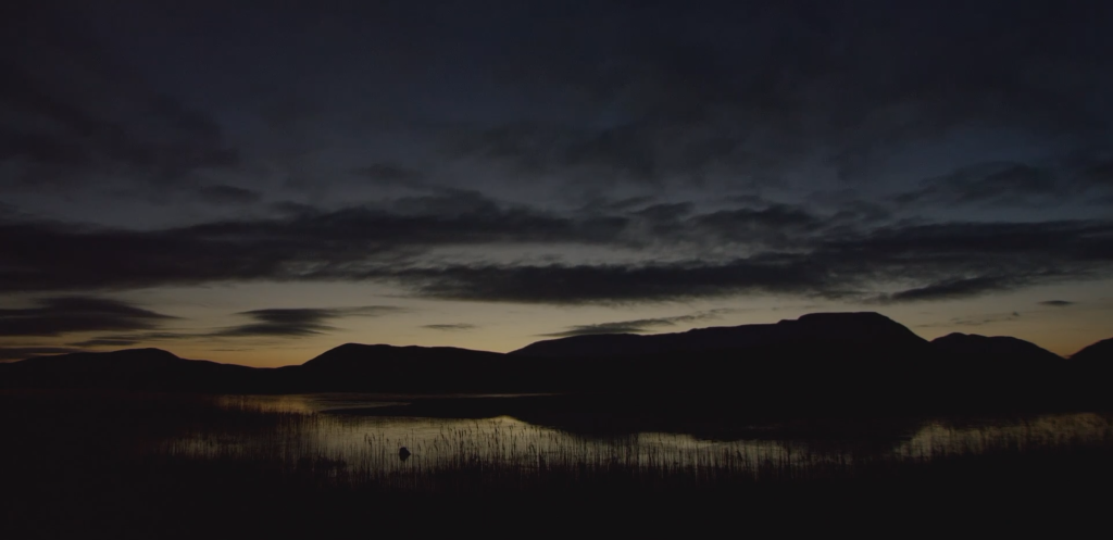 Act Now for Nature Video