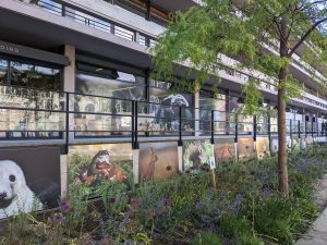 Wild animal photo mounted on exterior wall of building.
