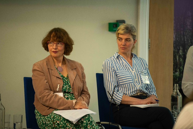 Groups of people seated for a panel discussion.