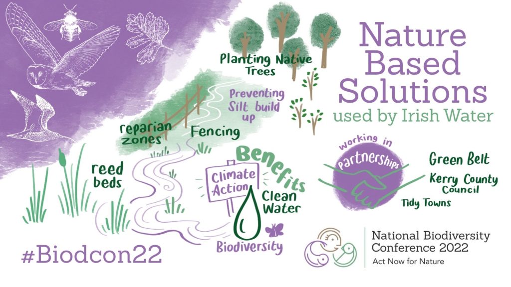 Nature Based Solutions