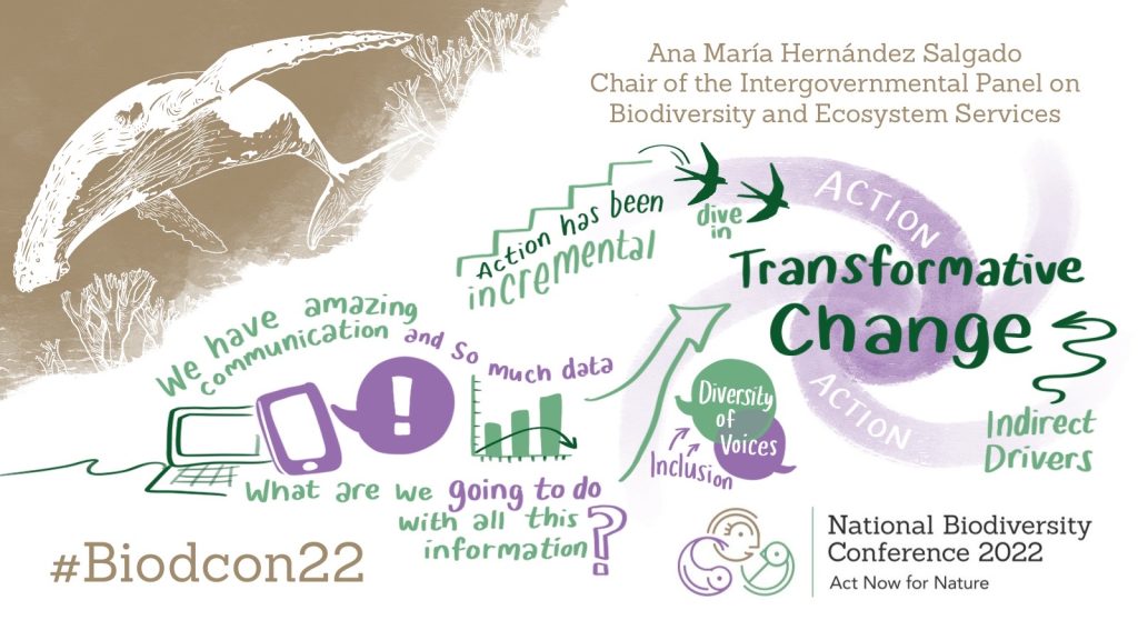 Transformative Changes